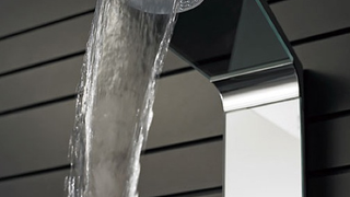 Hansa Smart Shower Has Three Options For Your Head and One For Your Crotch
